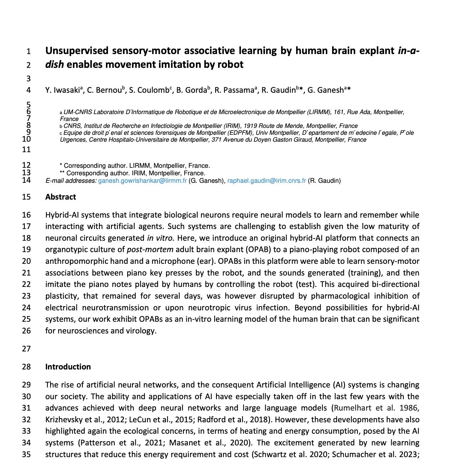 Closed-loop bio-robotic experimental architecture interfacing ex-vivo human brain tissue with microelectrode arrays, acoustic sensors, and robotic piano actuation