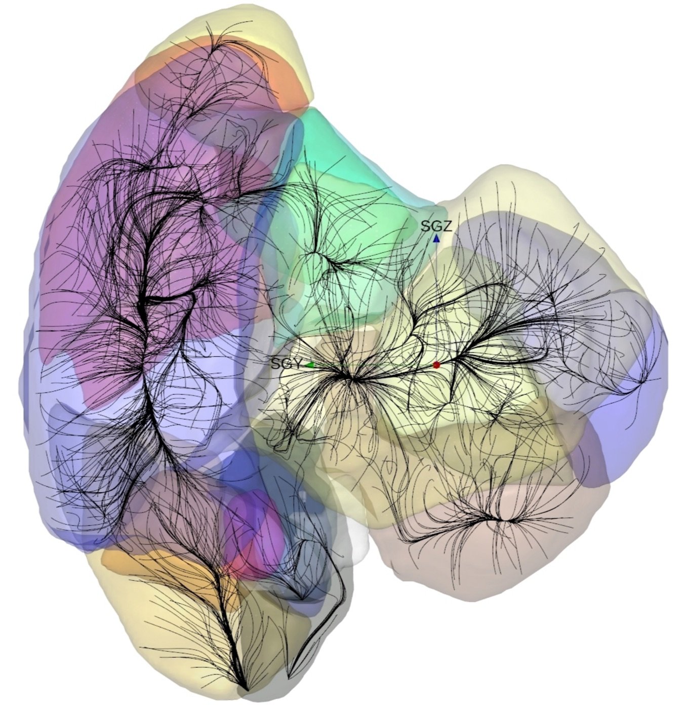 Velocity streamlines in the local Universe, colored envelopes marking separate basins of attraction from Valade et al. 2024.