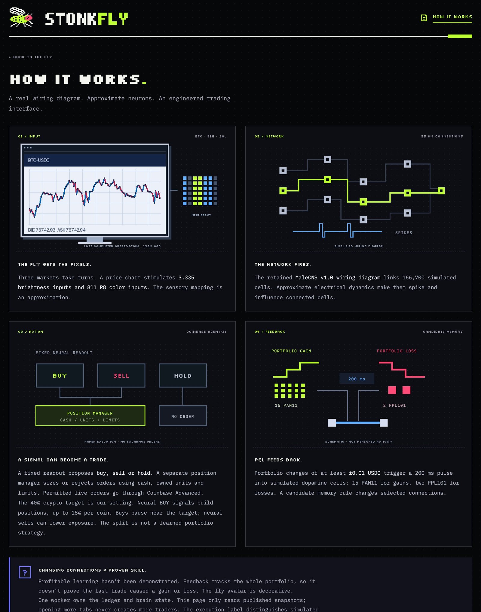 Stonkfly How It Works: chart pixels into visual cells, a simplified wiring diagram, a buy/sell/hold readout, and a P&L pulse into PAM11 and PPL101 cells.